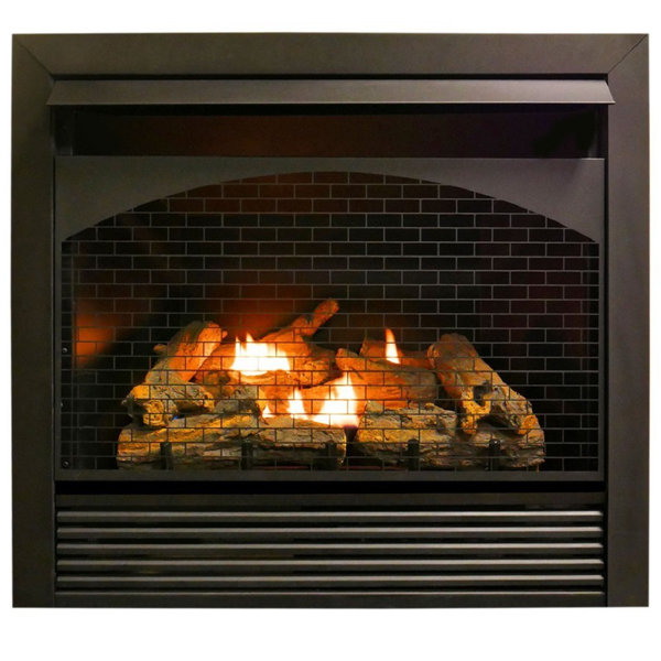 36.38'' W Ventless Fireplace Insert & Reviews Wayfair